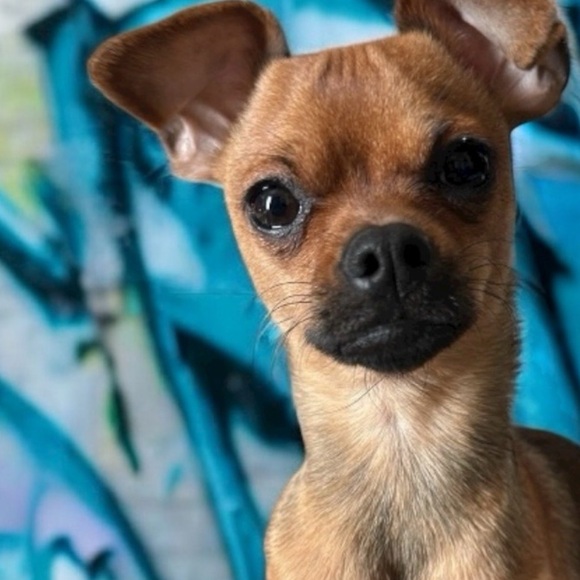 Meet Your Posher - Picture 14 of 16